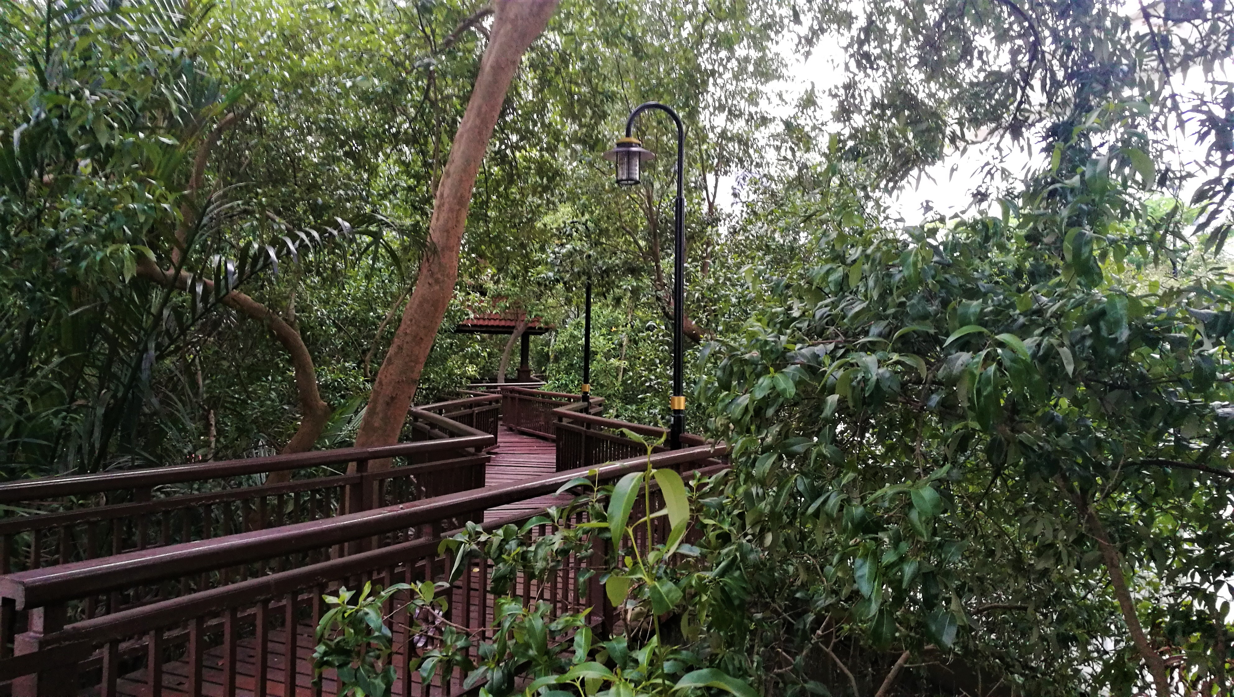 Melaka – muzyka, światła i rzeka