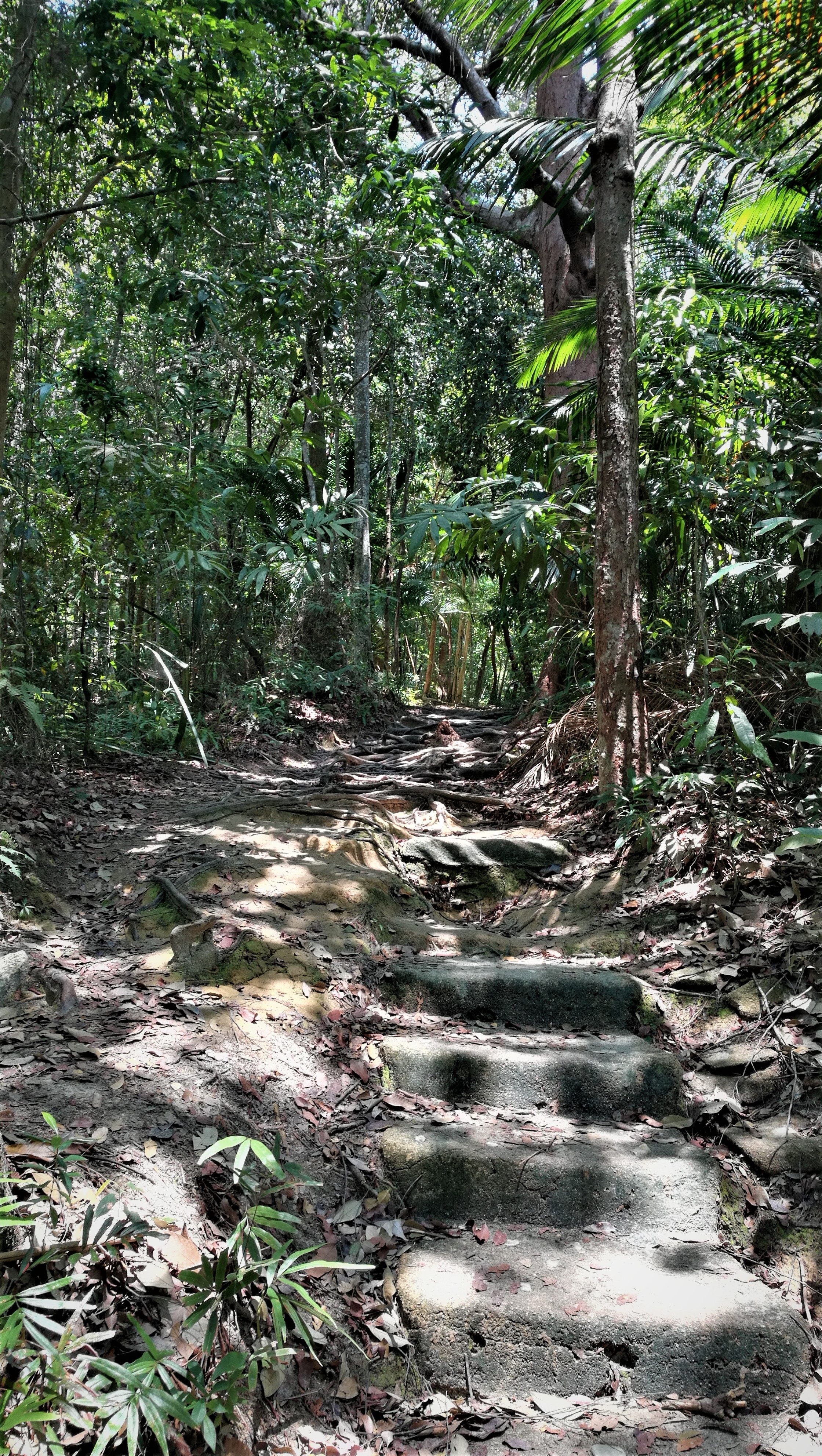 PENANG – uczta dla podniebienia, ciała i ducha